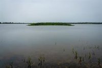 A información pública la adhesión de Lucena del Puerto (Huelva) a la ampliación de Reserva de la Biosfera de Doñana