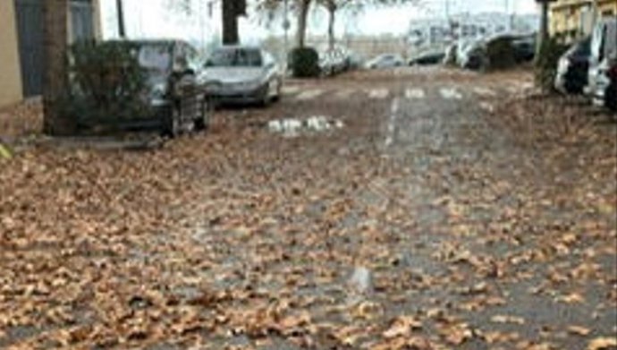 Hojas de los árboles caídas en las carreteras de la capital granadina.