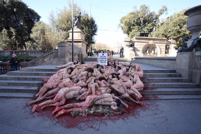 La protesta d'AnimaNaturalis a la plaça Catalunya de Barcelona