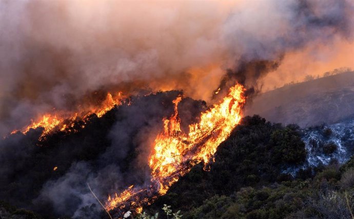 Incendios en Los Ángeles (California)