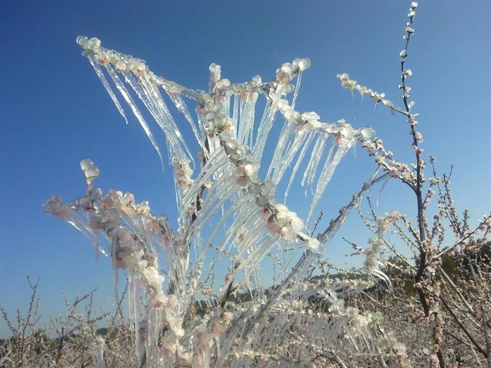 Archivo - La semana comienza en la Comunitat Valenciana con un descenso de las temperaturas y heladas en el interior de la mitad