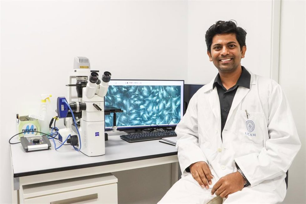 Archivo - El investigador Jeevithan Elango muestra el hidrogel a nivel microscópico en el laboratorio de UCAM HiTech.