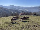 Foto: URA cuestiona las "medidas excepcionales" por la tuberculosis bovina implantadas en Tineo