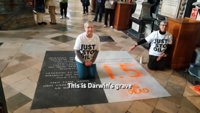 Activistas climáticos vandalizan la tumba de Darwin en la abadía de Westminster, en Londres