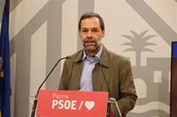 El PSIB de Palma propone aumentar la participación ciudadana y de los grupos políticos en los plenos de Cort