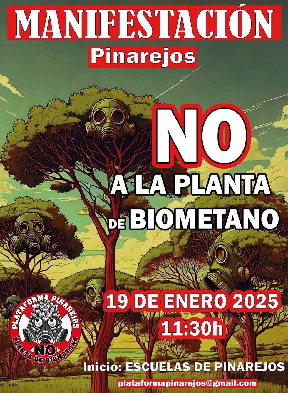 Cartel de la manifestación.