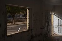 El CSIC desarrolla una solución para eliminar el moho en paredes por la inundación de viviendas durante la dana