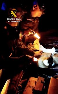 Detenido un vecino de Cuéllar (Segovia) con 3 kilos de hachís en un vehículo en Villafranca de los Barros