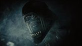 Foto: ¿A qué hora se estrena Alien: Romulus en Disney+?