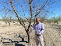PP: "El Gobierno de la Región refuerza su apoyo al secano mientras el de Pedro Sánchez da la espalda y castiga al campo"