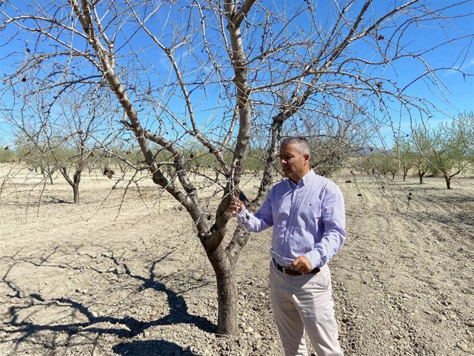 El secretario ejecutivo de Agua y Agricultura del Partido Popular de la Región de Murcia, Jesús Cano