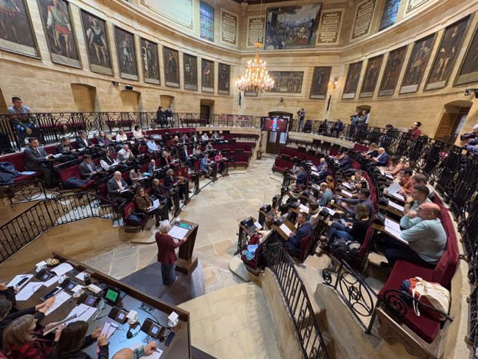 Pleno de las Juntas Generales de Bizkaia