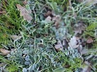 Agurain registra -9 grados, Valdegobía -7,1 y Arraia-Maeztu -6,3