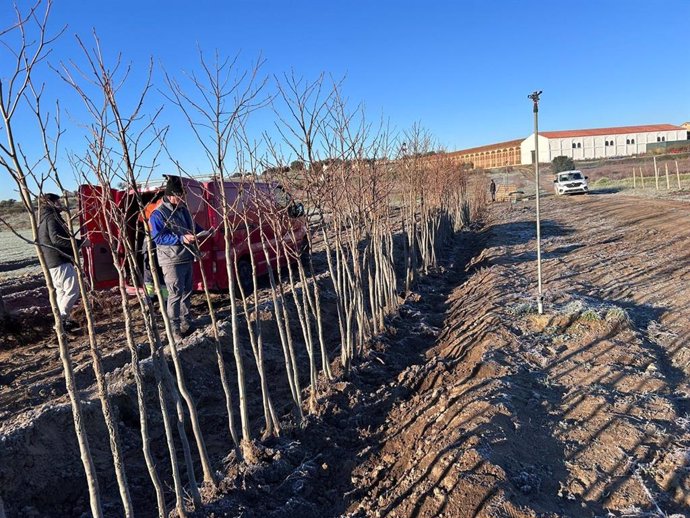 Campaña de entrega de árboles de la Diputación de Cáceres a los municipios