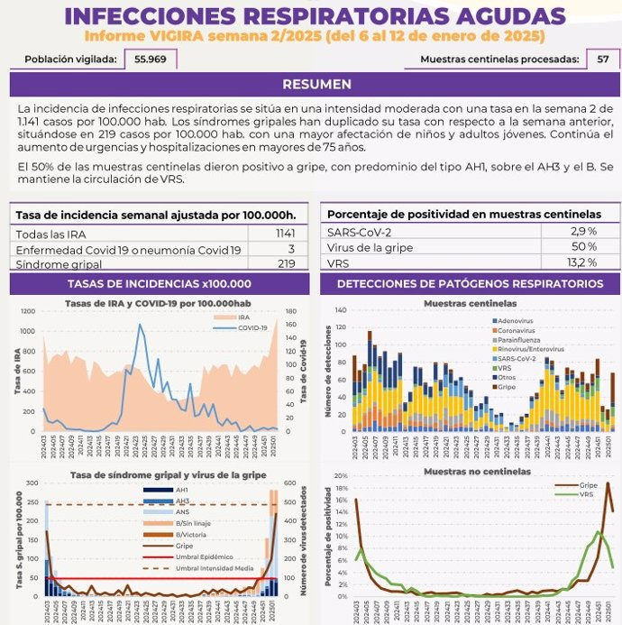 Informe sobre las enfermedadres respiratorias en Castilla y León.