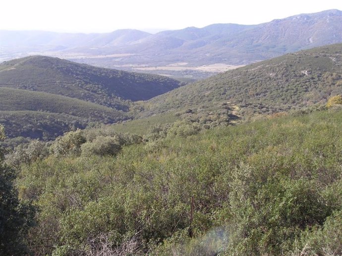 Archivo - Paisaje del Parque Nacional de Cabañeros