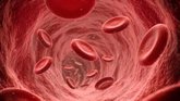 Foto: Un estudio muestra cómo la disfunción de los vasos sanguíneos puede empeorar enfermedades crónicas como el cáncer