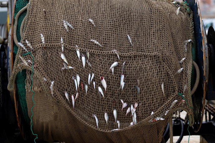 Archivo - Imagen de archivo de materiales de pesca en el Puerto de Arenys, a 11 de diciembre de 2024, en Arenys de Mar, Barcelona, Catalunya (España). 