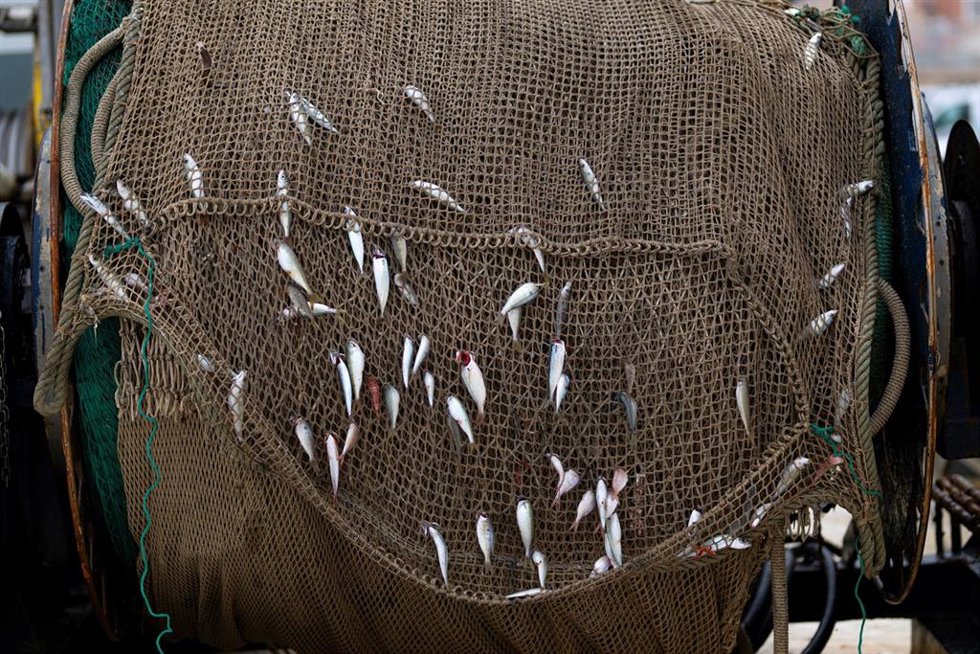 Archivo - Imagen de archivo de materiales de pesca en el Puerto de Arenys, a 11 de diciembre de 2024, en Arenys de Mar, Barcelona, Catalunya (España). 