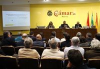 El Consejo del Agua da su conformidad a la modificación del Plan Especial de Sequías de la cuenca del Segura