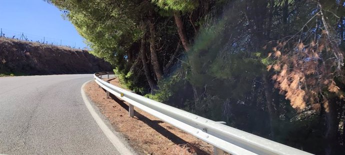 Archivo - Imagen de archivo de una carretera en la provincia de Málaga.