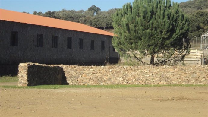 Archivo - Finca rústica.