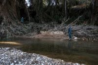 "Un halo de esperanza": la geolocalización sitúa a la Guardia Civil en Pedralba en busca de un desaparecido en la dana