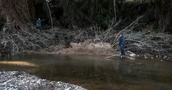 "Un halo de esperanza": la geolocalización sitúa a la Guardia Civil en Pedralba en busca de un desaparecido en la dana