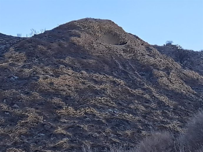 Zona afectada por el incendio en el paraje El Saltador Alto de Carboneras (Almería).