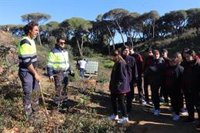 Estudiantes de Puerto Real (Cádiz) se suman a la repoblación del pinar de Las Canteras, afectado por incendio en 2023