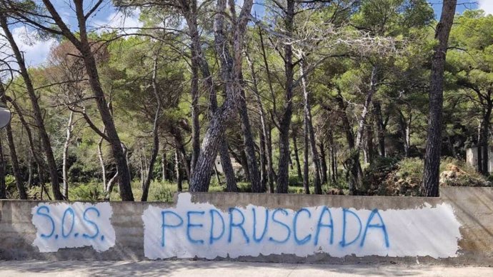 Pintada en contra el proyecto urbanístico en Sa Pedruscada.