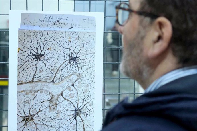 Un visitante de la muestra de la US dedicada a Ramón y Cajal.