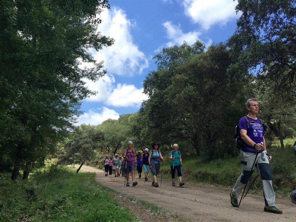 Personas haciendo nordic walking.
