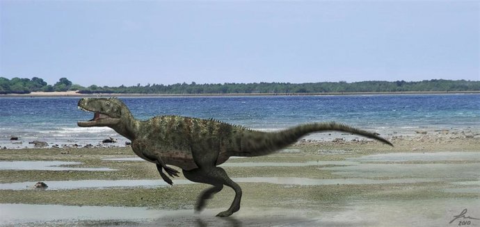 Archivo - Plantas fósiles de Teruel completan el puzle sobre los ambientes en los que vivían los dinosaurios.