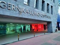 La incidencia de la gripe aumenta un 68% en Euskadi, pero los ingresos hospitalarios registran un leve descenso