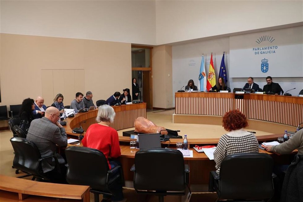 Comisión 1 de Parlamento de Galicia