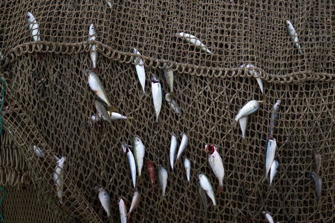 Archivo - Materiales de pesca en el Puerto de Arenys, a 11 de diciembre de 2024, en Arenys de Mar, Barcelona, Catalunya (España). 