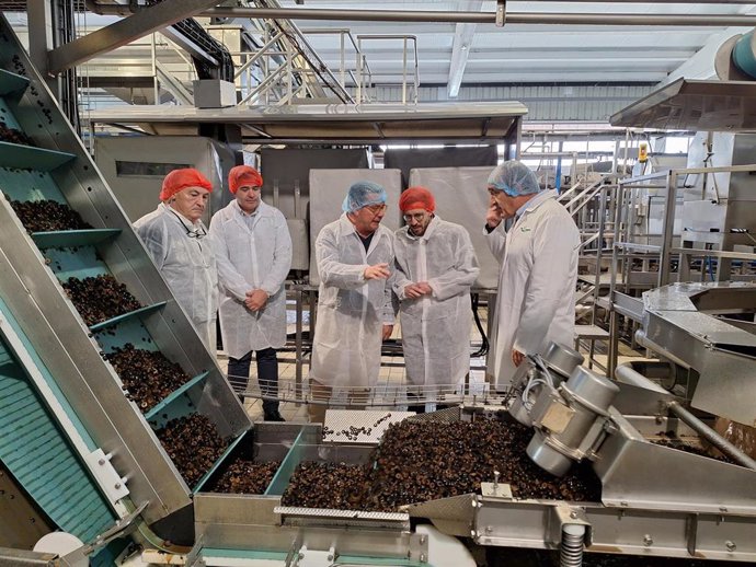 Gobierno subvenciona 5 proyectos de empresas con más de 4 millones de euros para "crear puestos de trabajo"