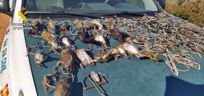 Artes intervenidas en Monterrubio de la Serena