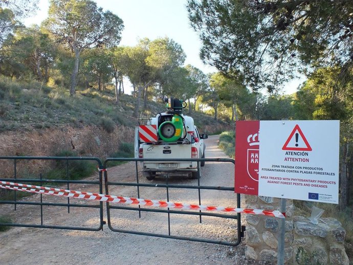 Imágenes de un todoterreno con el cañón para la aplicación de cipermetrina para poder pulverizar grandes extensiones y de bolsones de procesionaria en una pinada