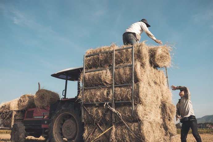 Agricultor y su tractor en el campo