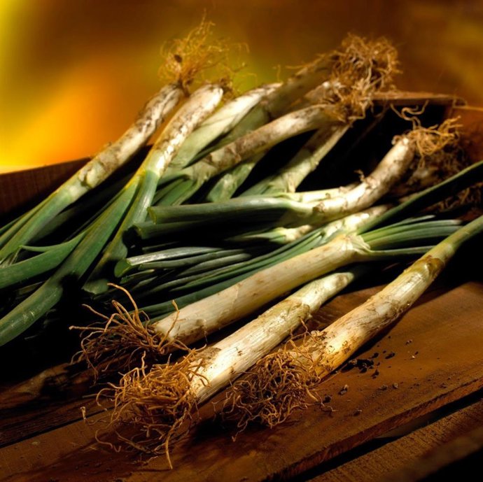 Calçots