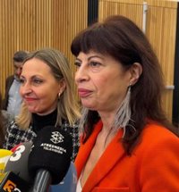 Redondo ve necesario que el ordenamiento jurídico español contemple la violencia vicaria