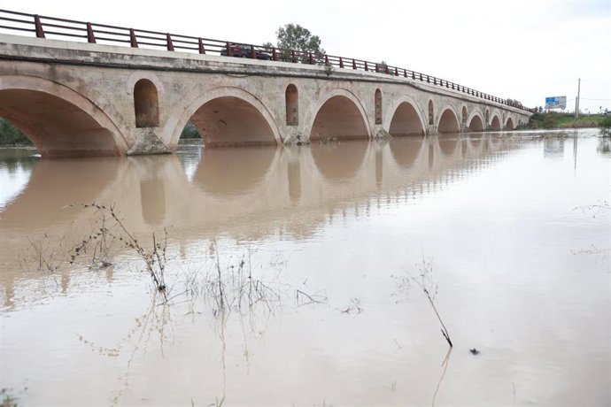 Archivo - Vista del Puente de la Cartuja de Jerez con la crecida del río Guadalete. 