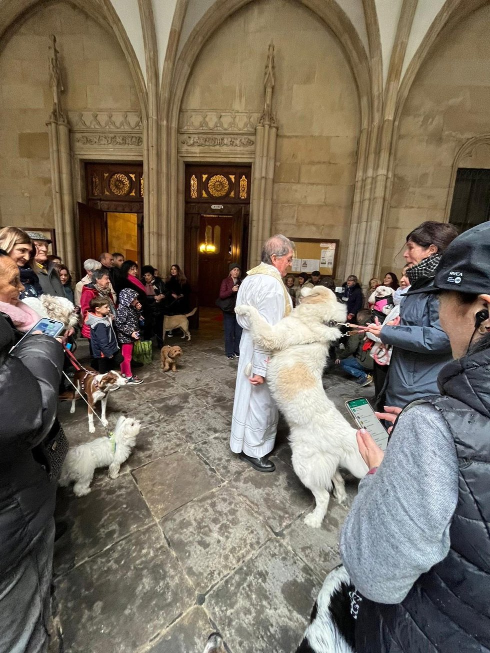 Bendición de mascotas en San Antón