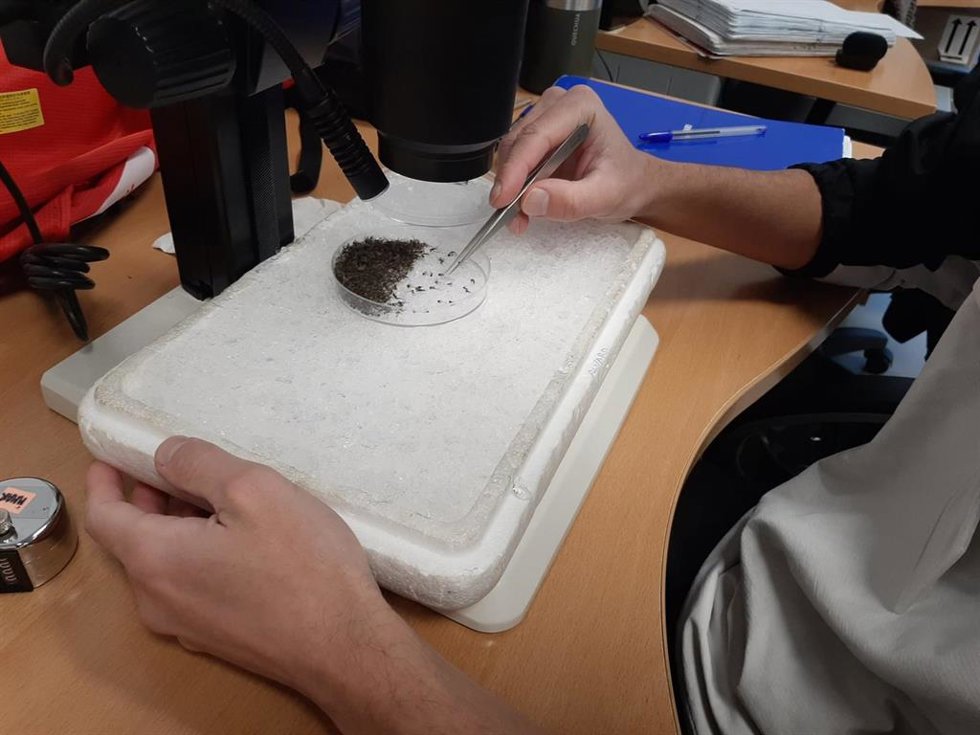 La investigación ha corrido a cargo del Instituto de Salud Carlos III y la Estación Biológica de Doñana.