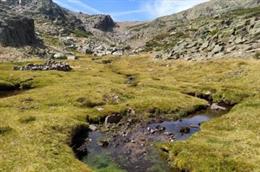 Un estudio de URJC revela los impactos del cambio climático en la estabilidad de ecosistemas de agua dulce y terrestres.