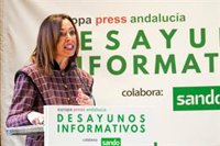 El puerto de Almería podrá licitar este año obras del Puerto-Ciudad con una aportación de 15 millones de la Junta