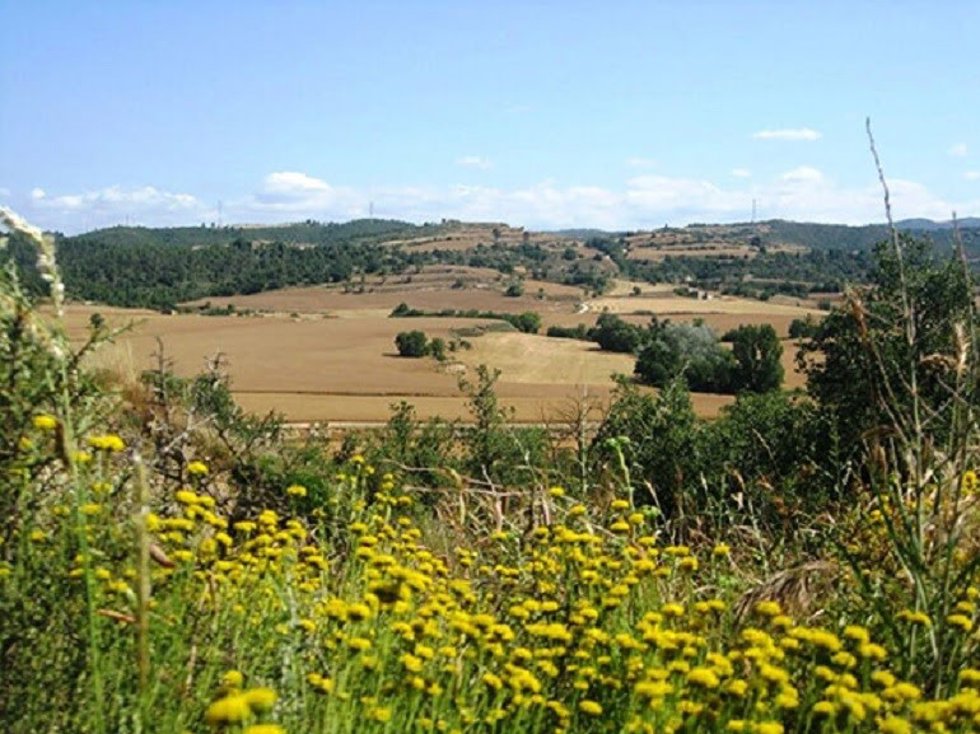 Archivo - Un campo en Catalunya