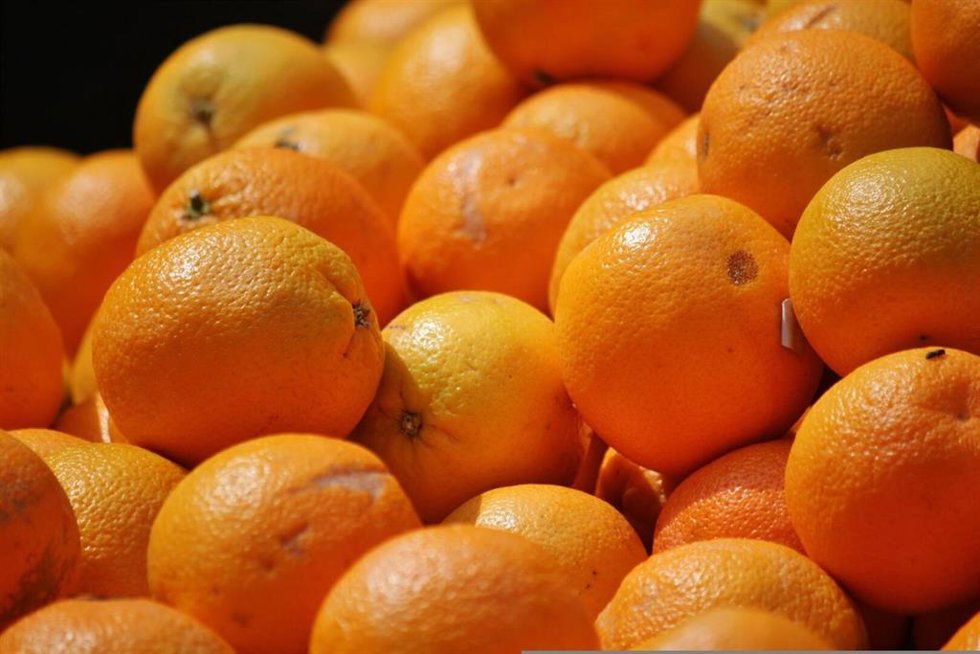 Recurso de naranjas